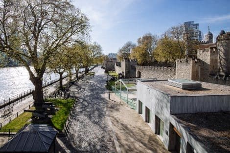 The Reveller - Tower of London, photo 4
