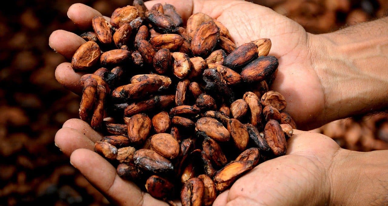 Chocolate Making