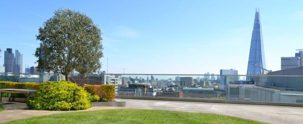 Terrace at The Blue Fin, photo 3