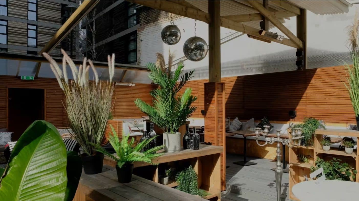 Backyard at The Light Bar, photo 4