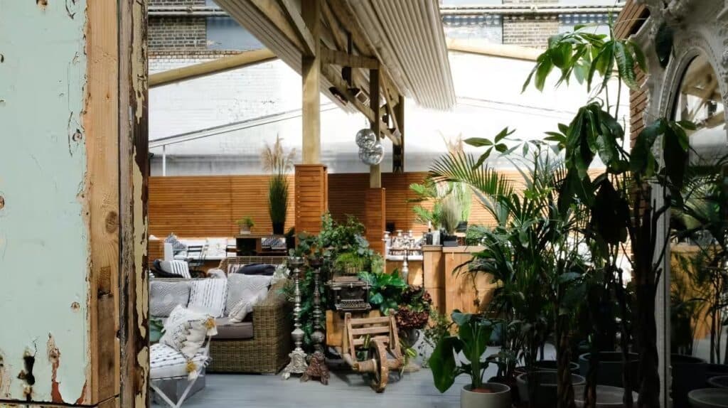 Backyard at The Light Bar, photo 6