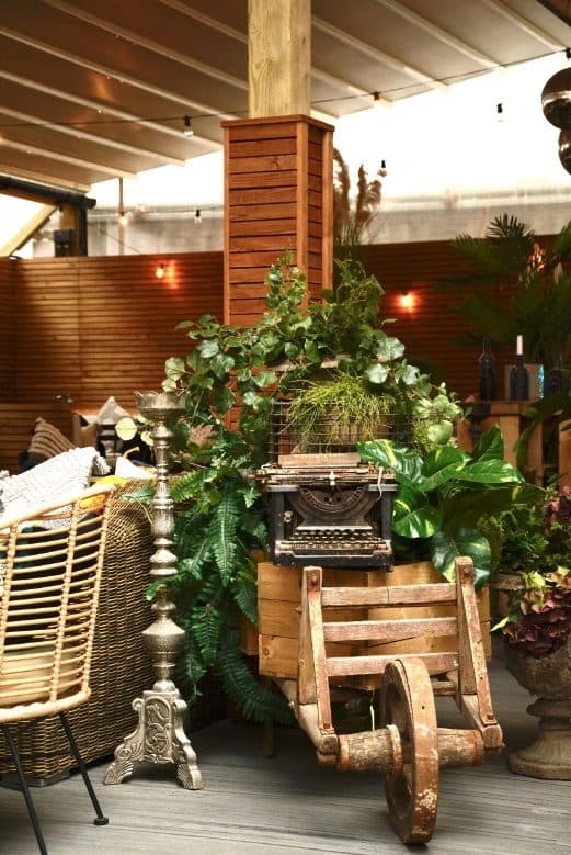 Backyard at The Light Bar, photo 7