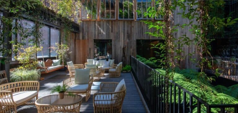 Jeruma Terrace at The Mandrake, photo 5