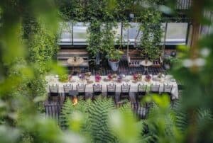 Jeruma Terrace at The Mandrake, photo 1