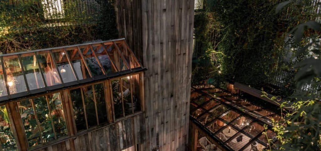 Jeruma Terrace at The Mandrake, photo 2