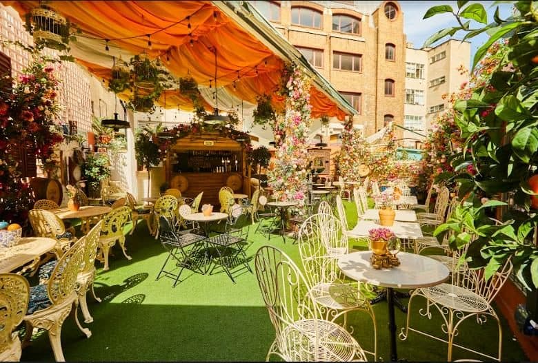 Mr Fogg's Secret Garden, photo 4