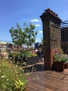 Cathedral View Rooftop Garden, photo 2