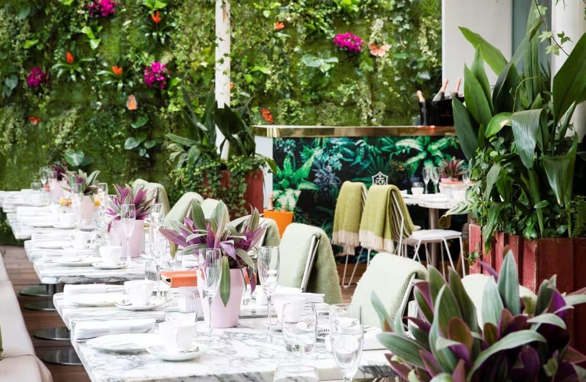 Courtyard at Sanderson London, photo 3