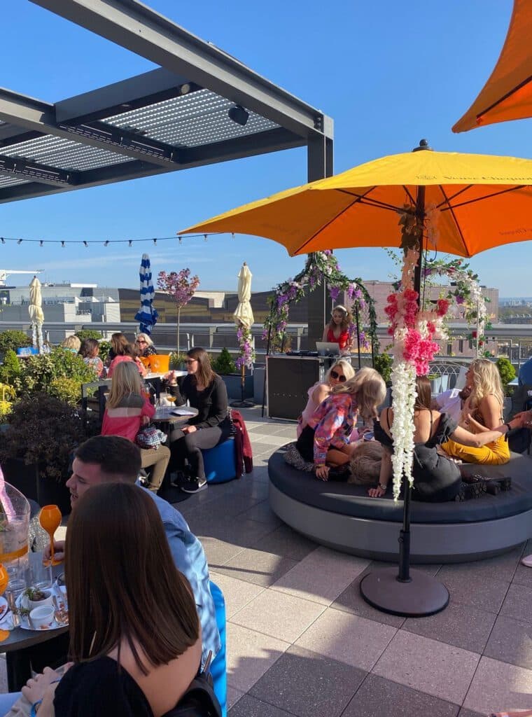 Skylark Roof Garden, photo 4