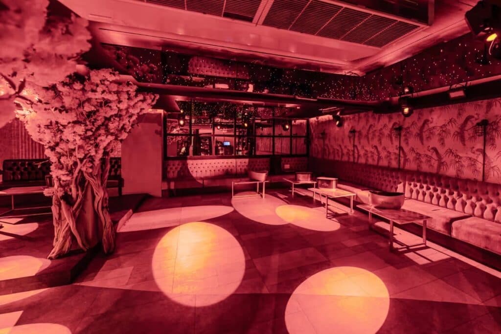 The Chelsea Lodge Terrace, photo 2