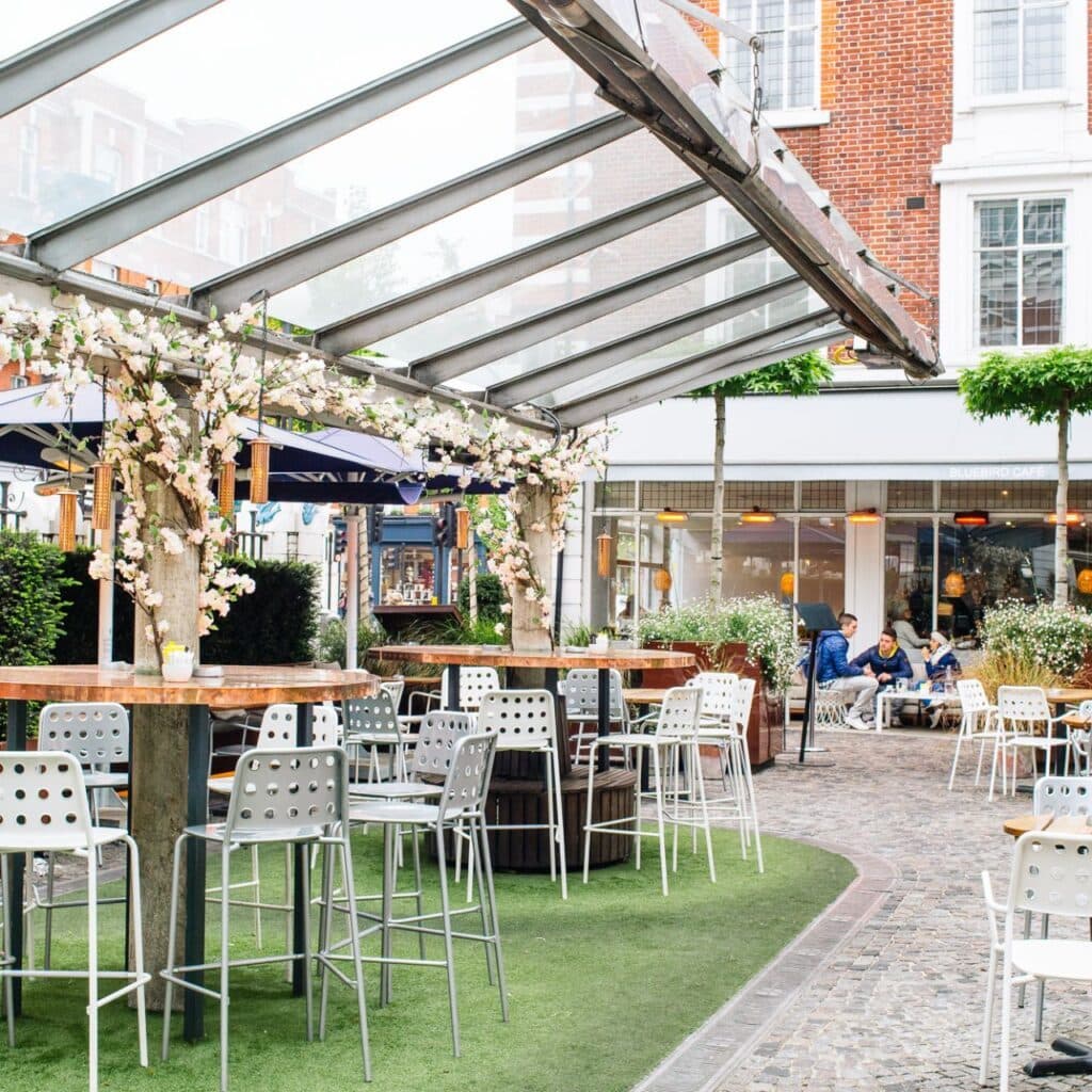 Bluebird Chelsea, photo 1