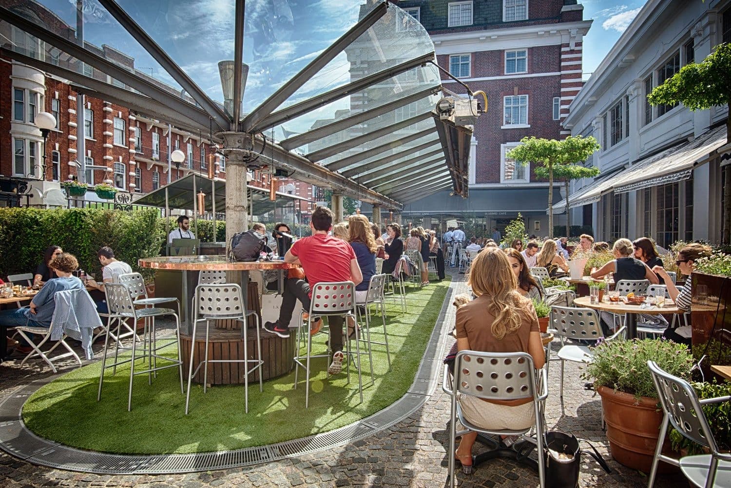 Bluebird Chelsea, photo 2