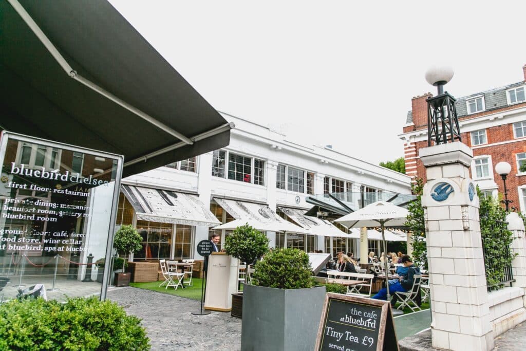 Bluebird Chelsea, photo 3
