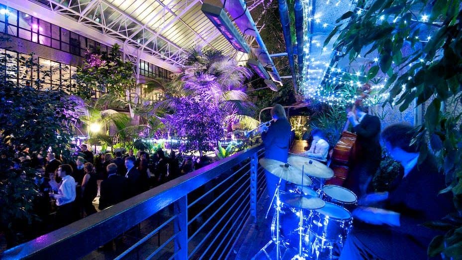 A Tropical Oasis in the Heart of London: A Glorious Summer Gathering