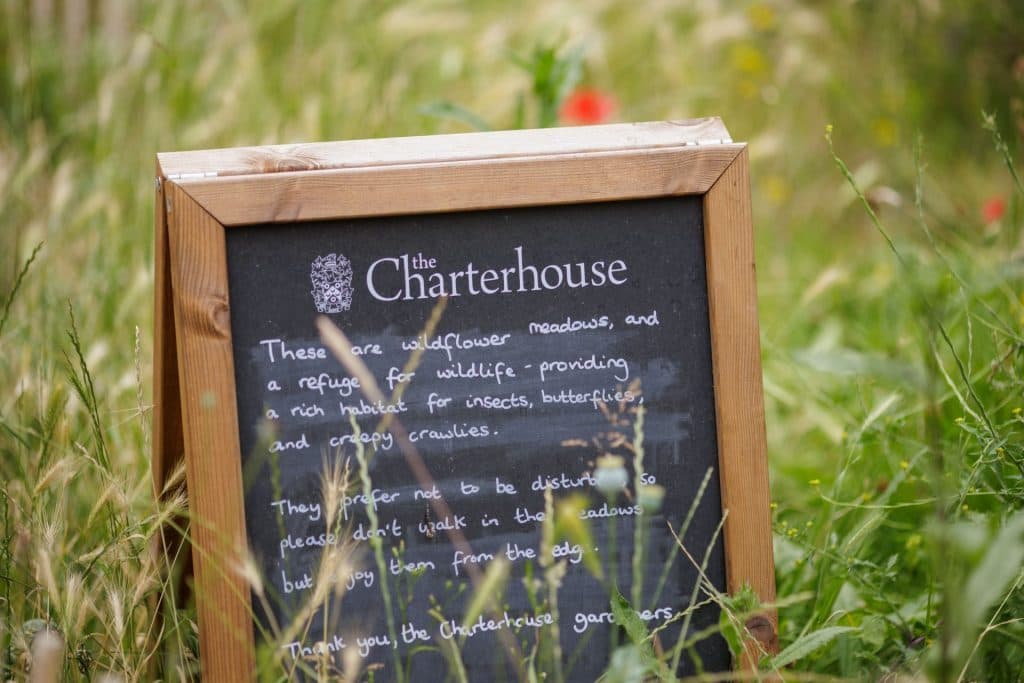 Charterhouse Square, photo 30