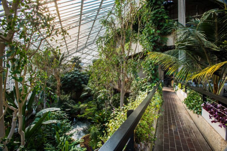 Barbican Conservatory Summer Party Venue