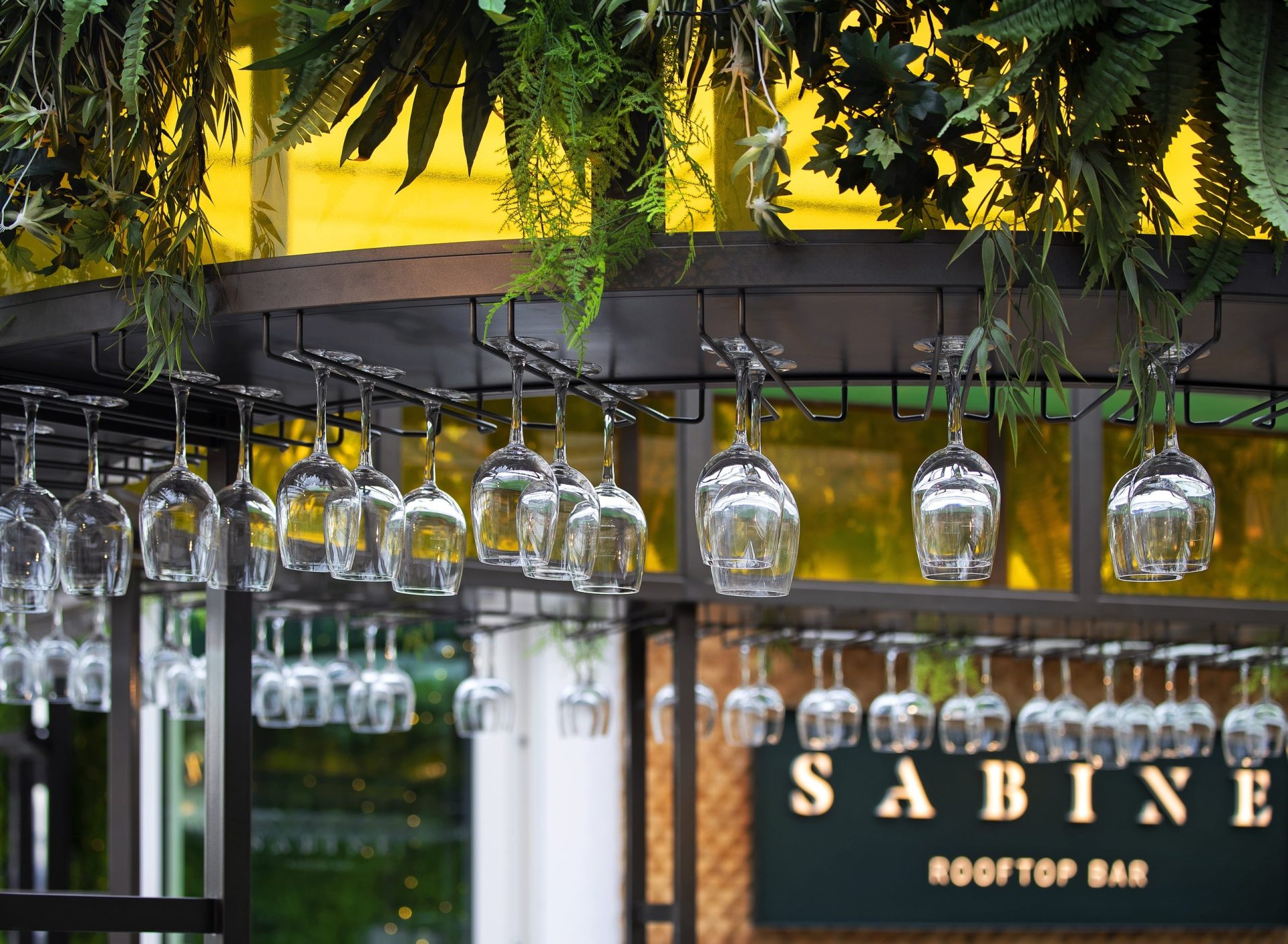 Sabine Roof Terrace St Pauls London Summer EC2