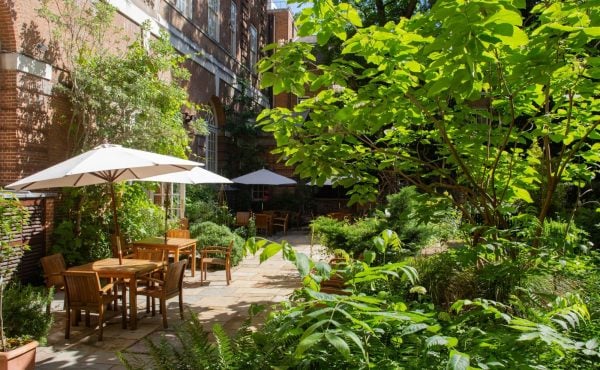 BMA House Garden Summer Party|BMA House Garden Summer Party|BMA House Garden Summer Party|BMA House Garden Summer Party|BMA House Garden Summer Party|BMA House Garden Summer Party