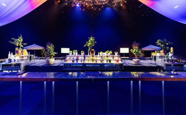Home 21 Evolution Battersea Park London Summer Party Venue SW11