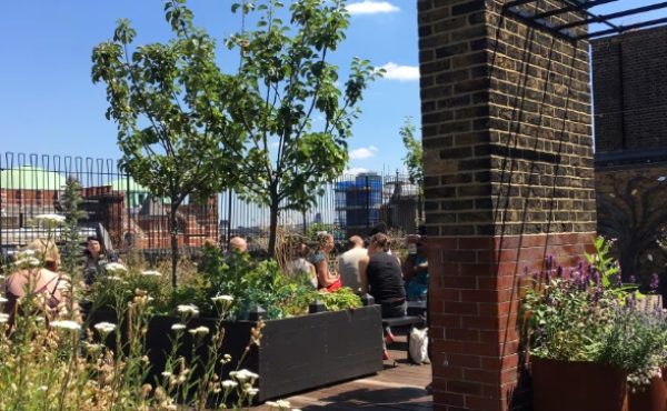 Rooftop Garden Cathedral View London Summer Party