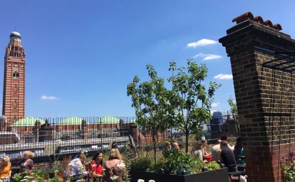 Rooftop Garden Cathedral View London Summer Party