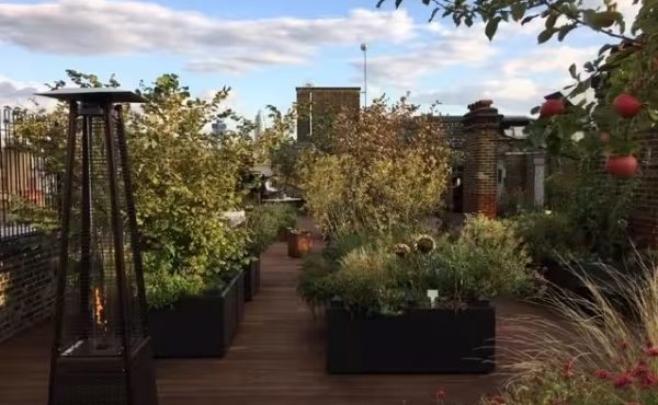 Rooftop Garden Cathedral View London Summer Party