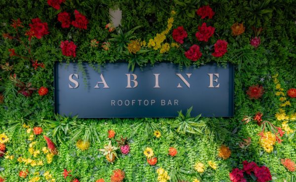 Sabine Roof Terrace St Pauls London Summer EC2