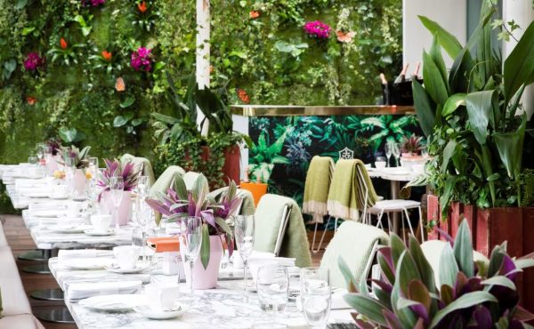 Sanderson London Courtyard London Summer Party